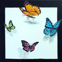 Butterflies1 