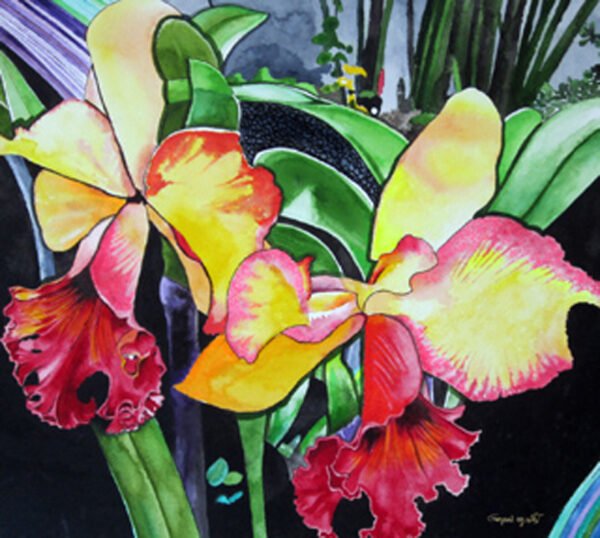 Orchid