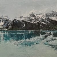 Glacier Bay Preserve 