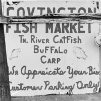 Fish Market 
