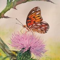 Butterfly 