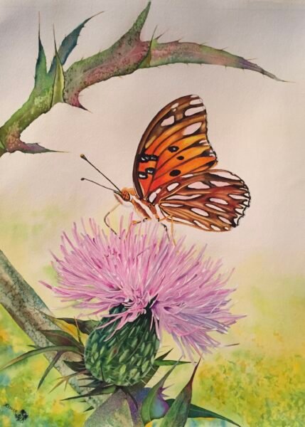 Butterfly