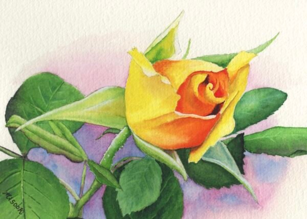 YellowSimplicity