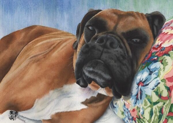 Bailey