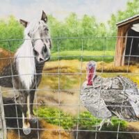 BarnYardBuddies 