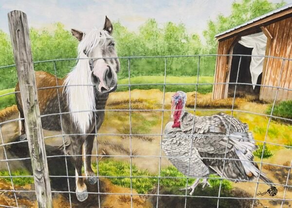BarnYardBuddies