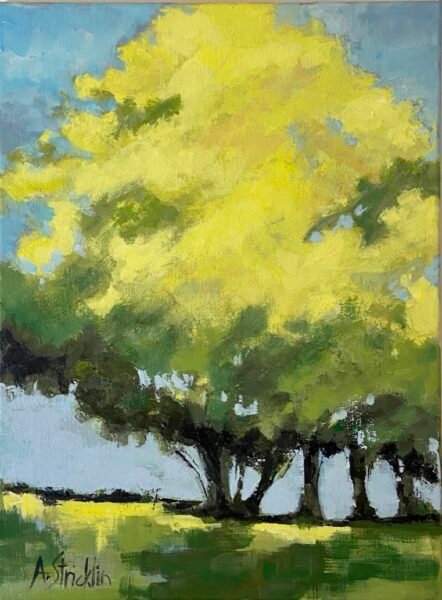 F28cGzqWRnKilXidtAJIbg_thumb_9677