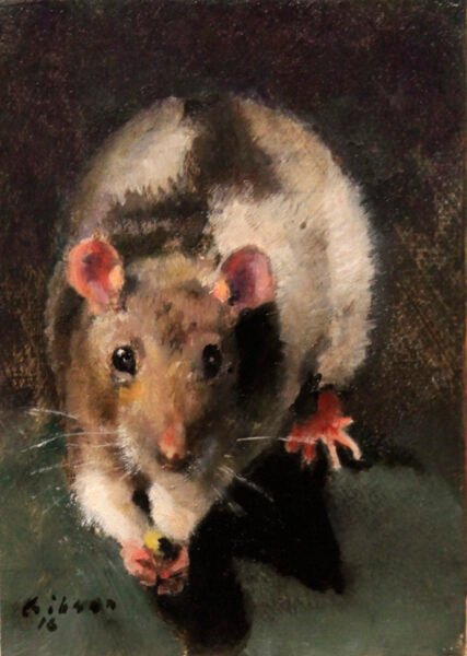 Fancy That Rat 7×5 oil on hardboard 2016