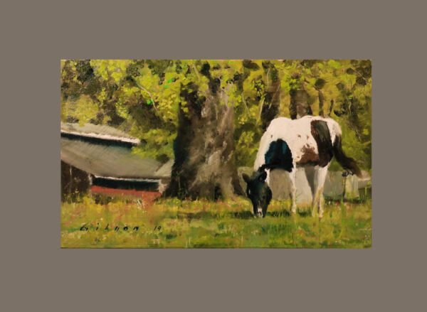Painted Pony