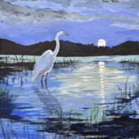 Steve Nelson: Recent Work
