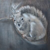 Barbara Lemaire: The Resident Squirrel