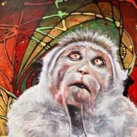 Casey Smith: Animals