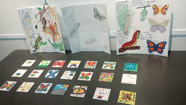 IMG_20231201_124203549