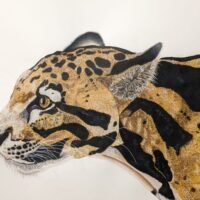 4cae6e57-bd33-467c-9da5-b05adbcda1a0 