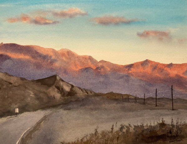 Lifelines in Death Valley  11 x 15