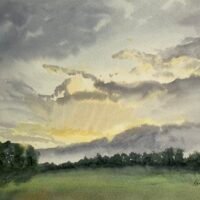 Randy Parker: Most Recent Work