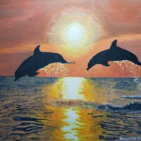 Dolphins 