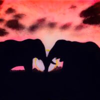 ElephantsSunset 