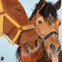 Horses 