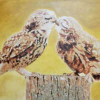 OwlsKissing 