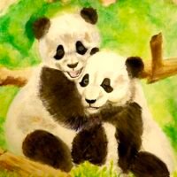 Panda Bear Hugs 