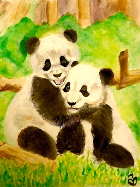 Panda Bear Hugs