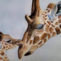 giraffe-and-baby-angela-brunson 