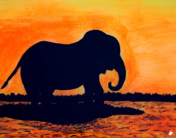 ElephantSunset