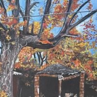 Jenny Hobbs: Memphis