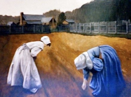 Sowing Seed