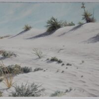 2015 Gypsum Dunes, Guadalupe Mountains National Park, watercolor, 30.25×11.5 