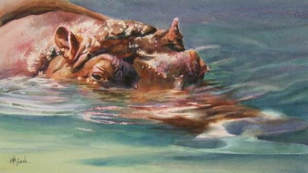 Bright Water Hippo