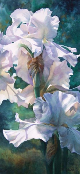 White Iris